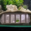 Reptile decoration hide cave