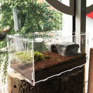Clear acrylic reptile breeding box