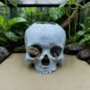 Reptile skull hide cave decoration