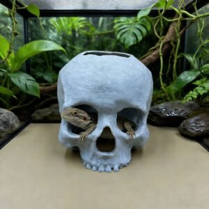Reptile skull hide cave decoration
