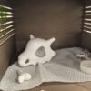 White reptile hide cave decoration