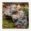 Resin Reptile Hide Cave for Secure Reptile Hideout And Resting Shelter