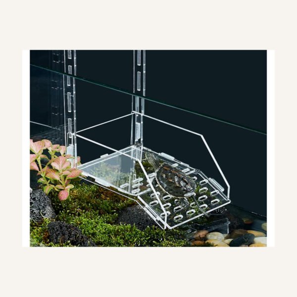 Acrylic Turtle Basking Platform for Raised Dry Resting
