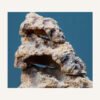 Resin Reptile Hide Cave for Secure Reptile Hideout And Resting Shelter