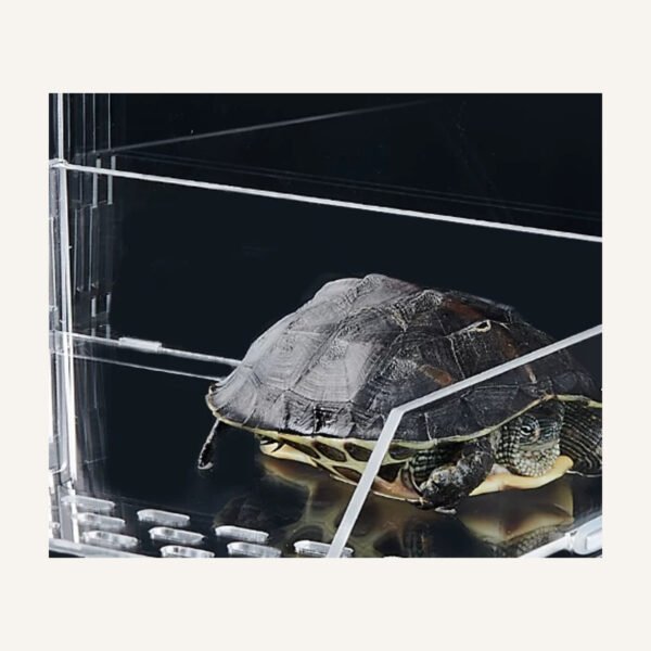 Acrylic Turtle Basking Platform for Raised Dry Resting